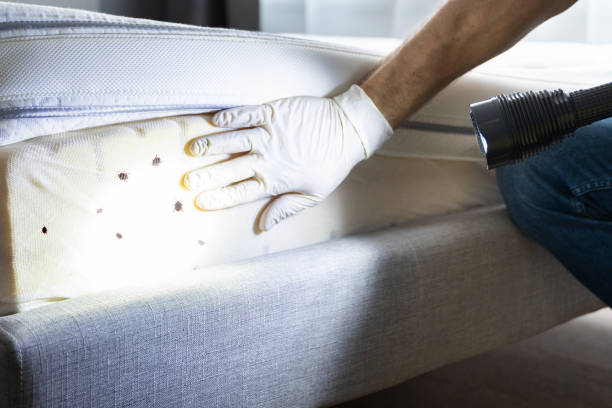 Best Best Pest Control Companies  in Dahlgren, VA