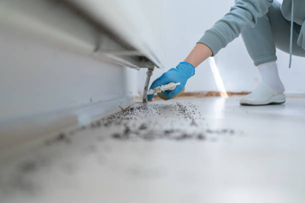 Best Affordable Pest Control Services  in Dahlgren, VA
